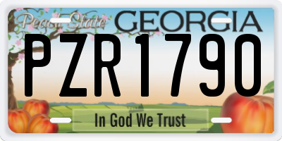 GA license plate PZR1790