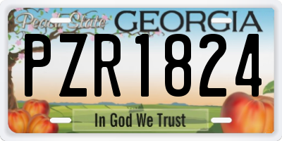 GA license plate PZR1824