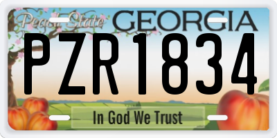 GA license plate PZR1834