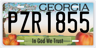 GA license plate PZR1855