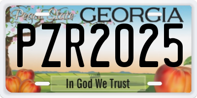 GA license plate PZR2025