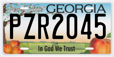 GA license plate PZR2045