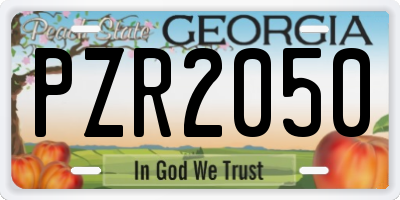 GA license plate PZR2050