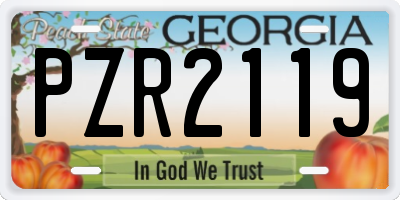 GA license plate PZR2119