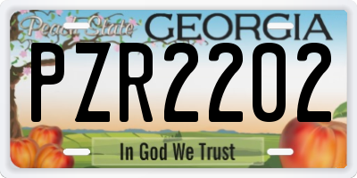 GA license plate PZR2202