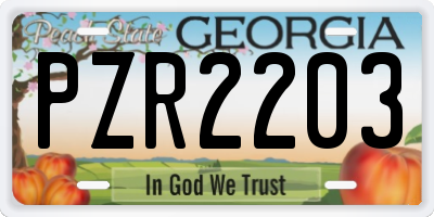 GA license plate PZR2203