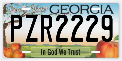 GA license plate PZR2229