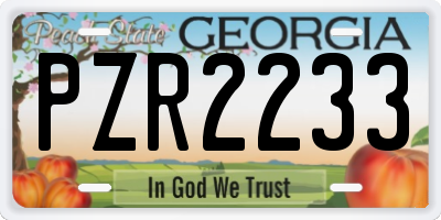 GA license plate PZR2233