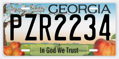 GA license plate PZR2234