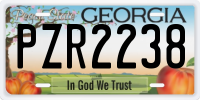GA license plate PZR2238