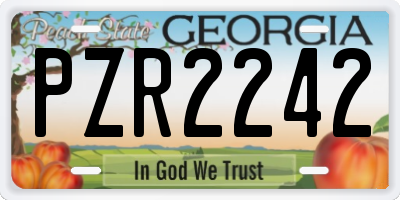 GA license plate PZR2242
