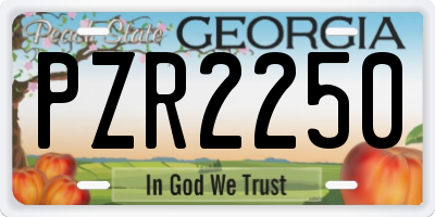 GA license plate PZR2250