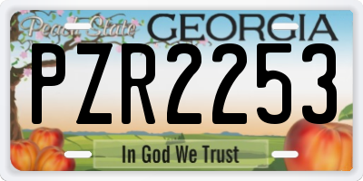 GA license plate PZR2253