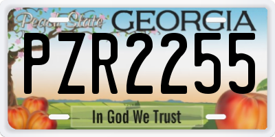 GA license plate PZR2255