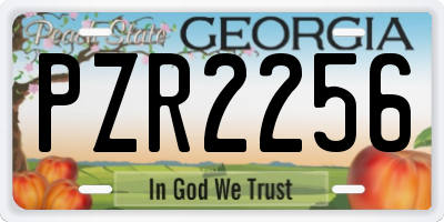 GA license plate PZR2256