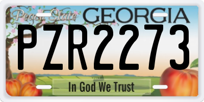 GA license plate PZR2273