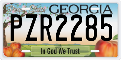 GA license plate PZR2285