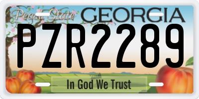 GA license plate PZR2289