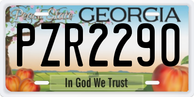 GA license plate PZR2290