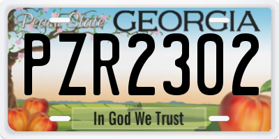 GA license plate PZR2302
