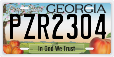 GA license plate PZR2304
