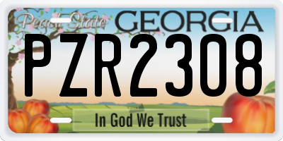 GA license plate PZR2308