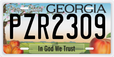 GA license plate PZR2309