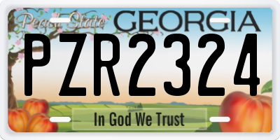 GA license plate PZR2324