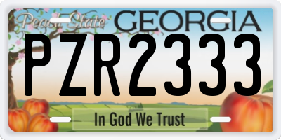 GA license plate PZR2333