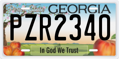 GA license plate PZR2340