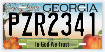 GA license plate PZR2341
