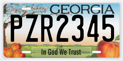 GA license plate PZR2345