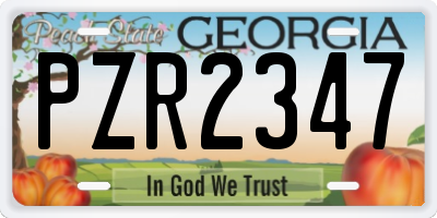 GA license plate PZR2347