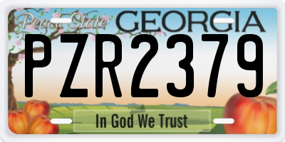 GA license plate PZR2379