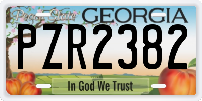 GA license plate PZR2382