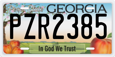 GA license plate PZR2385