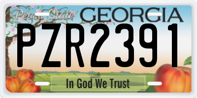 GA license plate PZR2391