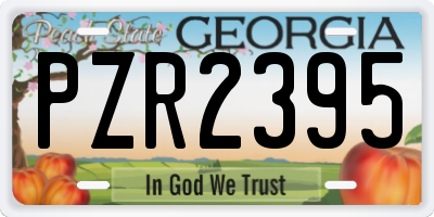 GA license plate PZR2395
