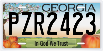 GA license plate PZR2423