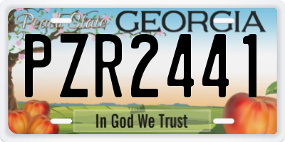 GA license plate PZR2441