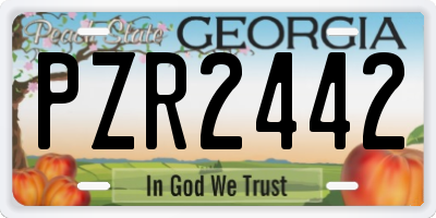 GA license plate PZR2442