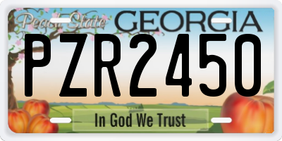 GA license plate PZR2450
