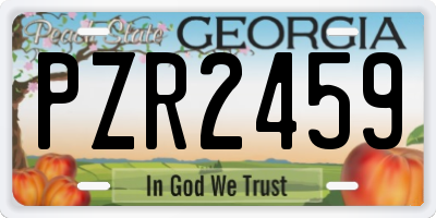 GA license plate PZR2459