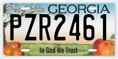 GA license plate PZR2461