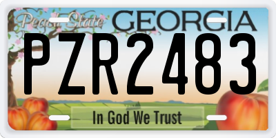 GA license plate PZR2483