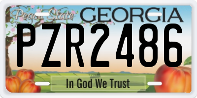 GA license plate PZR2486
