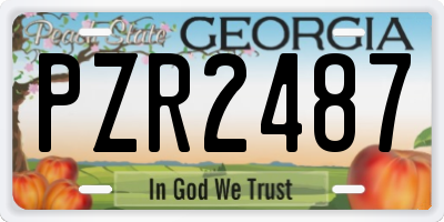 GA license plate PZR2487