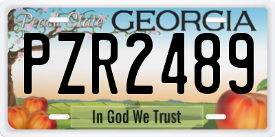 GA license plate PZR2489