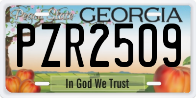 GA license plate PZR2509