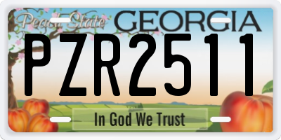 GA license plate PZR2511